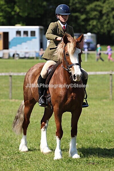 IMG_4419 - Working Hunter
