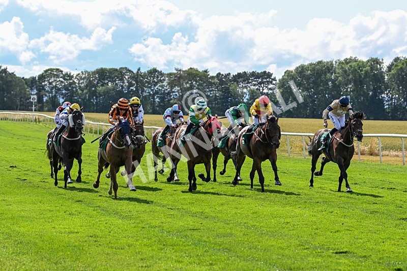 020725-Race 5-Mereside Madness-2576