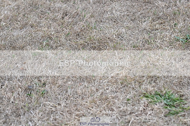 250820A-174920-12293 - Wednesday Presentations