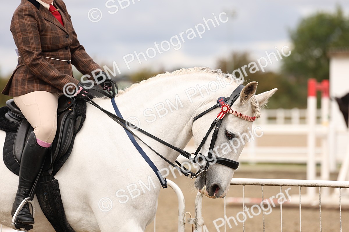 SBM_02775 - Class 53 - Ridden Competition Horse/Pony