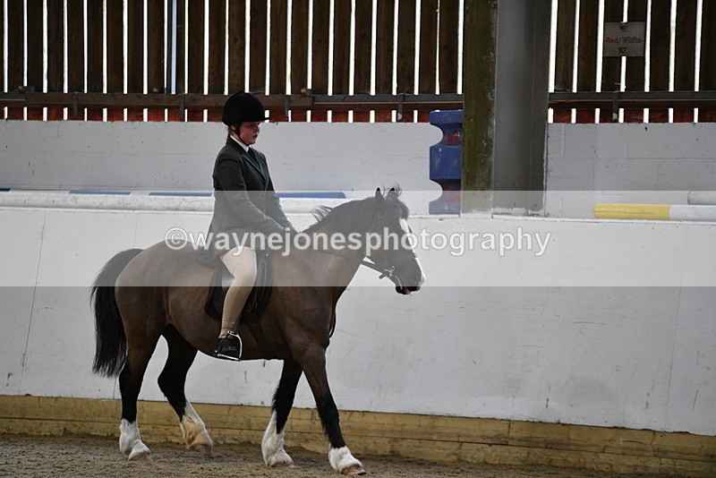 WJ5_7240 - Class 11 Ridden PC - RC Pony