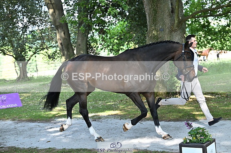 250521A-155036-00794 - B-372-Stephen.Heal-HISCO