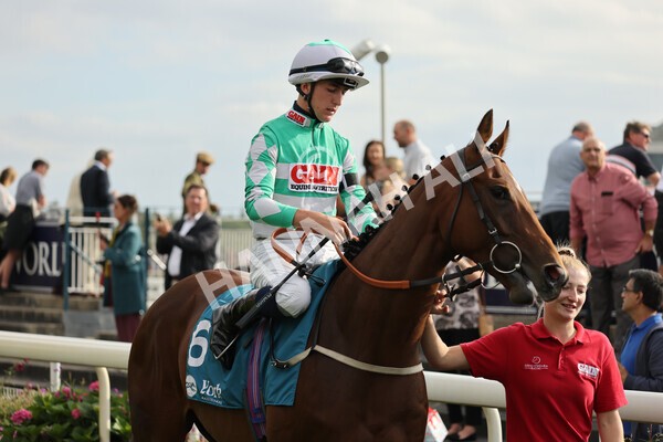 yr04092022r6-19 - Race 6 4.40pm Hanson Springs Stakes