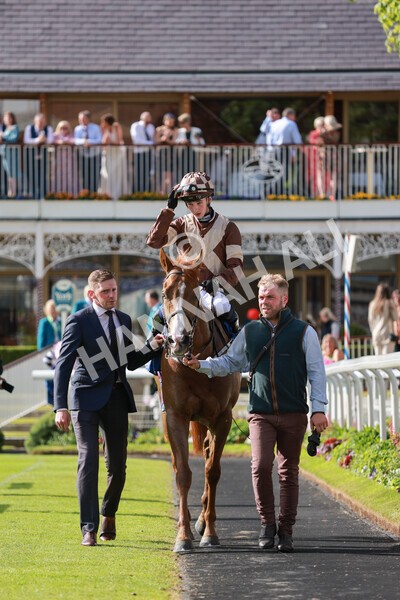 yr21052022r7-41 - Race 7: 5:15pm Reg Bond Always and Forever Stakes