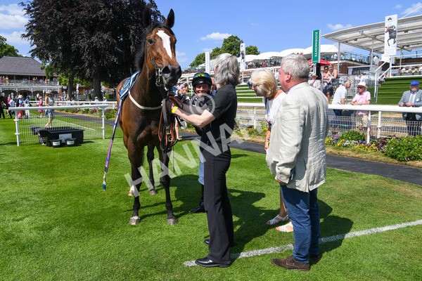 160623-Race 3-Radio Goo Goo-0214 - Race 3 3.00pm British EBF Supporting Racing With Pride Fillies' Handicap