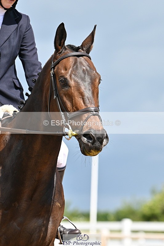 240622A-102034-07557 - Cls 2A+2B+C Intro B RoR