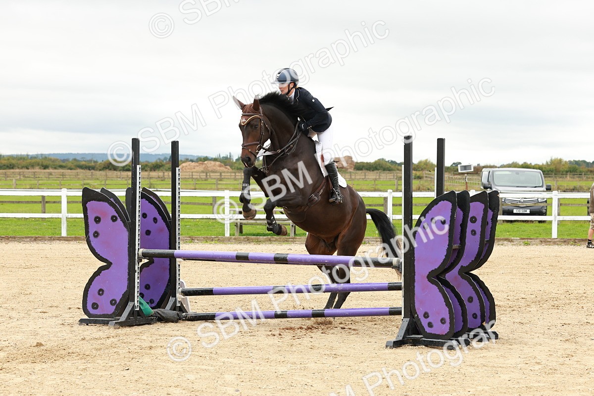 1I0A6822 - Class 2 - Senior British Novice