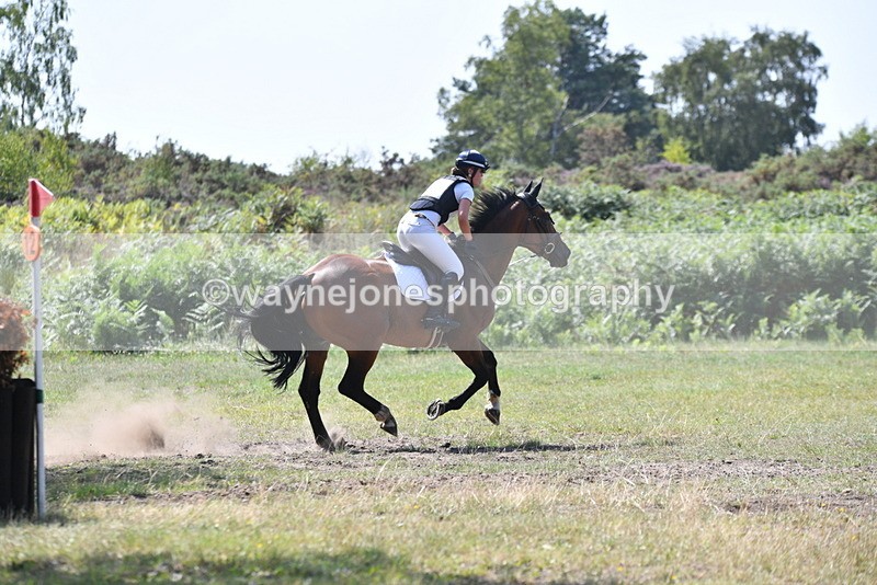 WJ5_3475 - XC Time 13:30 to 14:00