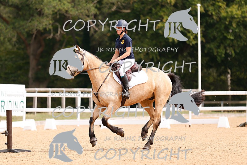 _R6A2822 - Dressage Morning