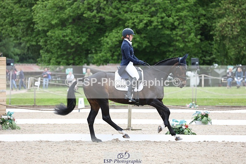 240524-164157-11103 - 372-PENCOS_CROWN_JEWEL-Millie_Juleff