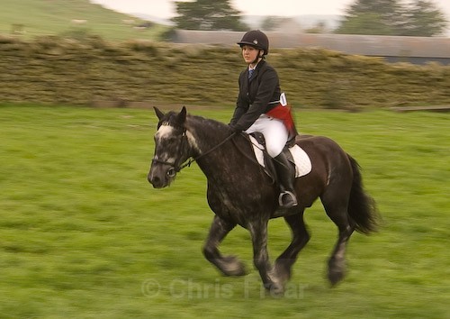 52 - Moniaive Horse Show 2008
