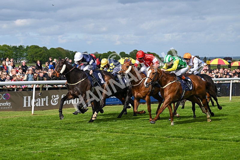 050525-Race 5-Hover On The Wind-4966 - Race 5