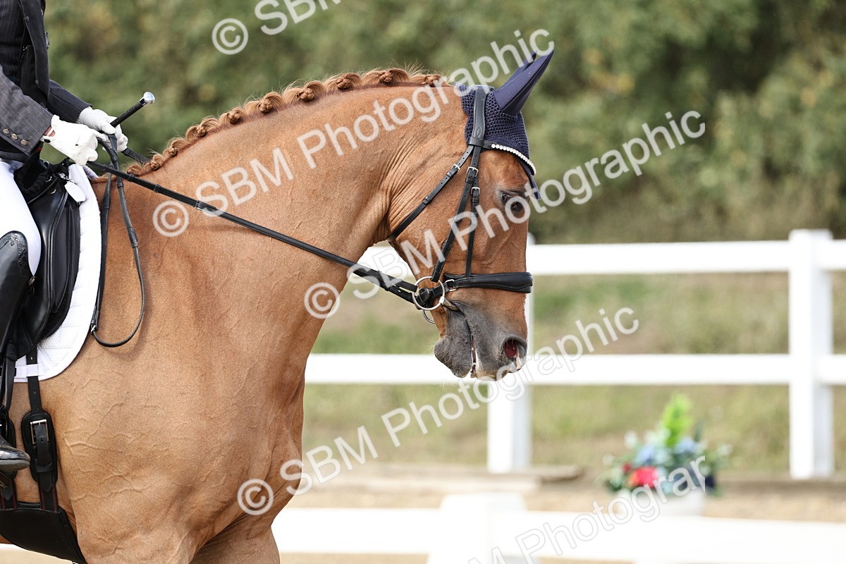 SBM_014648 - Class 5 - Elementary 4