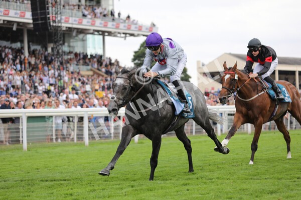 yr23072022r6-29 - Race 6 5.00pm Sky Bet Partnership with Support Dogs Stakes