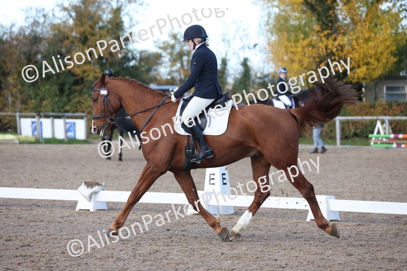 20251102-0707 - Class 4 - Novice 6