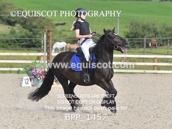 BPP_1457 - DERBY CLASS 2 - 30CM