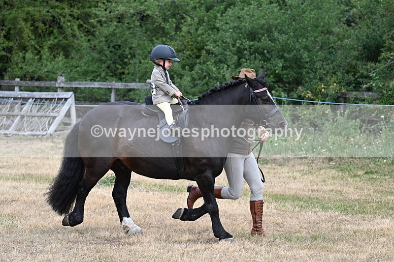 WJ7_9679 - Class 1 Lead Rein Pony