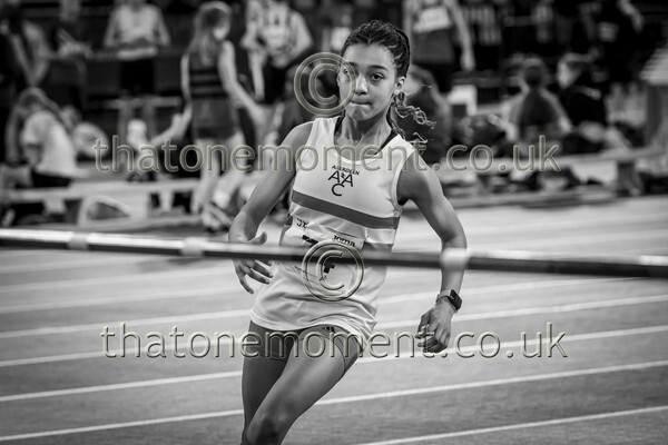 CombiMast25-913378 - Field Female