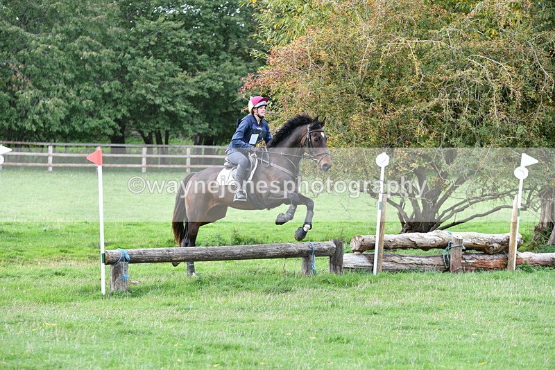 WJ5_0340 - Time 13:59 to 14:28