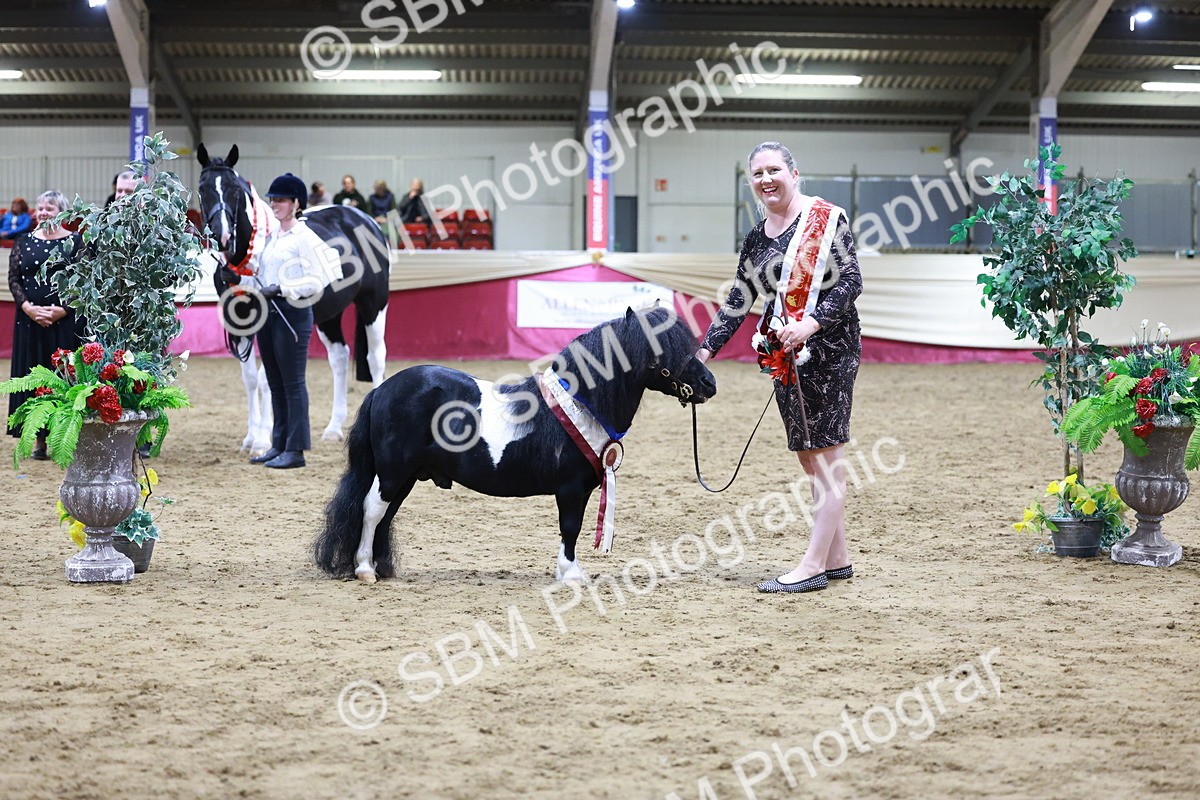 SBM_20871 - Class L - Coloured Champ