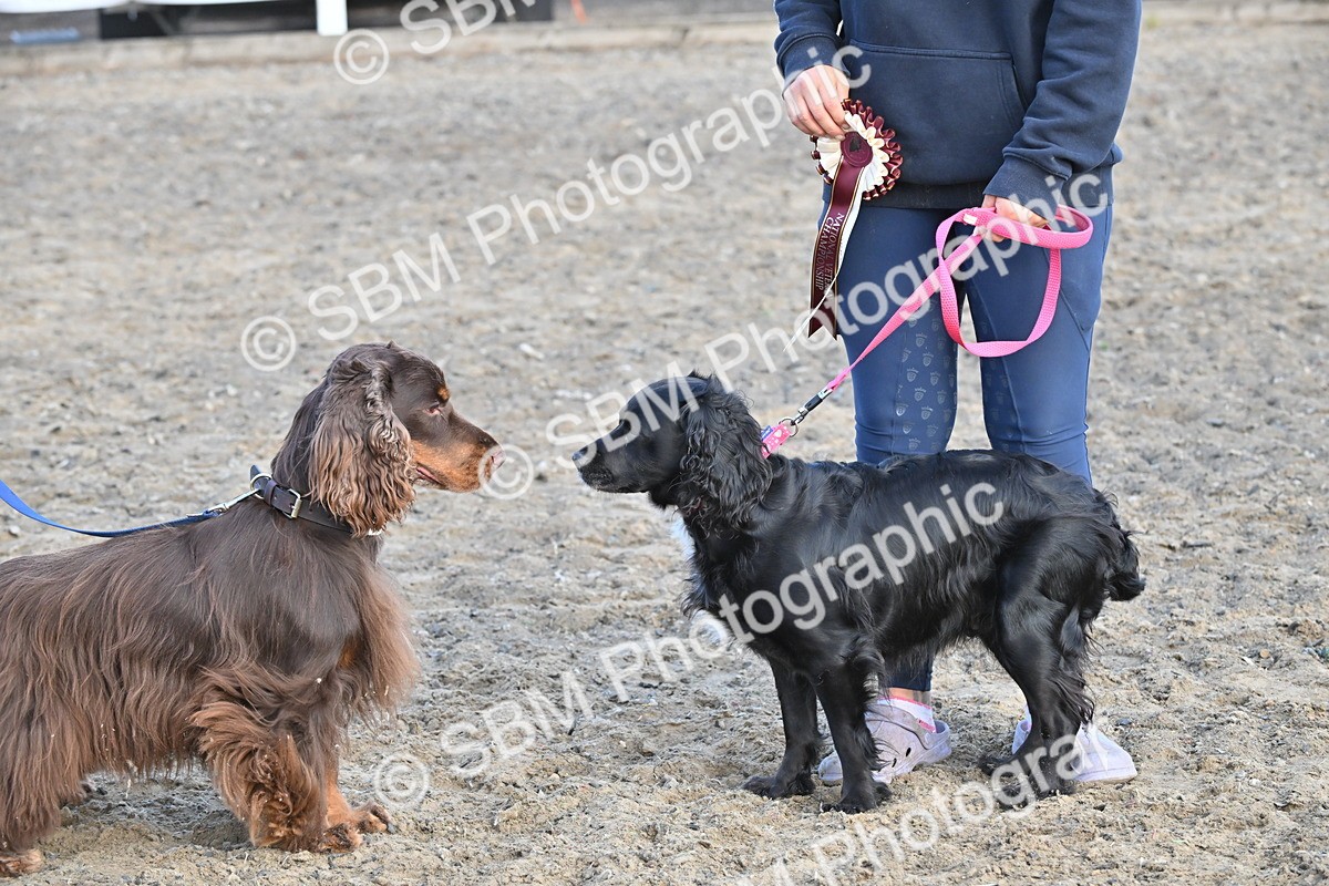 SBM_09510 - Lorry Dogs