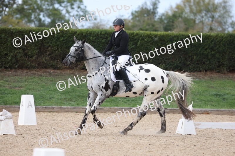 20261010-0709 - Class 6 - Novice 2