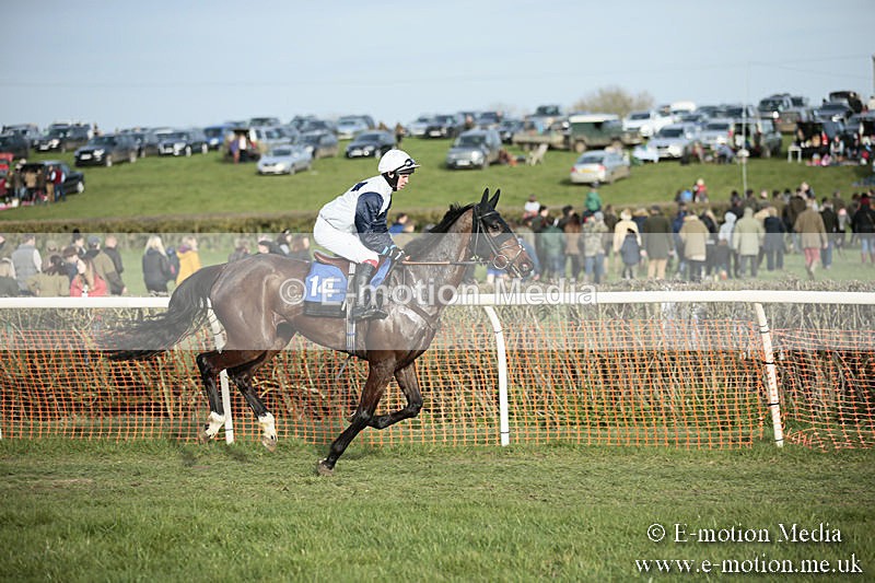 PtP 230319 504 - VWH Hunt Siddington Point-to-Point Racing 23/03/19
