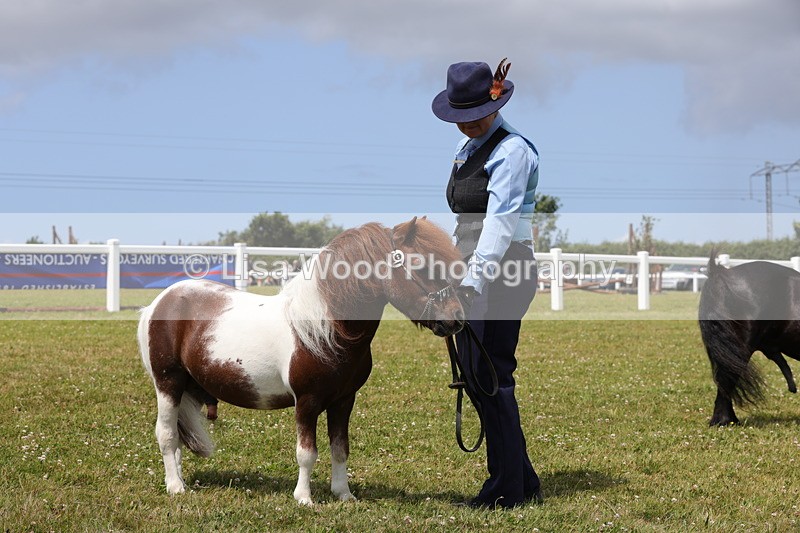 1X9A4800 - Class 35: Veteran In Hand