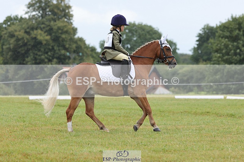 240824X-104606-22304 - D70 Section C and D 9.30 to 11.00