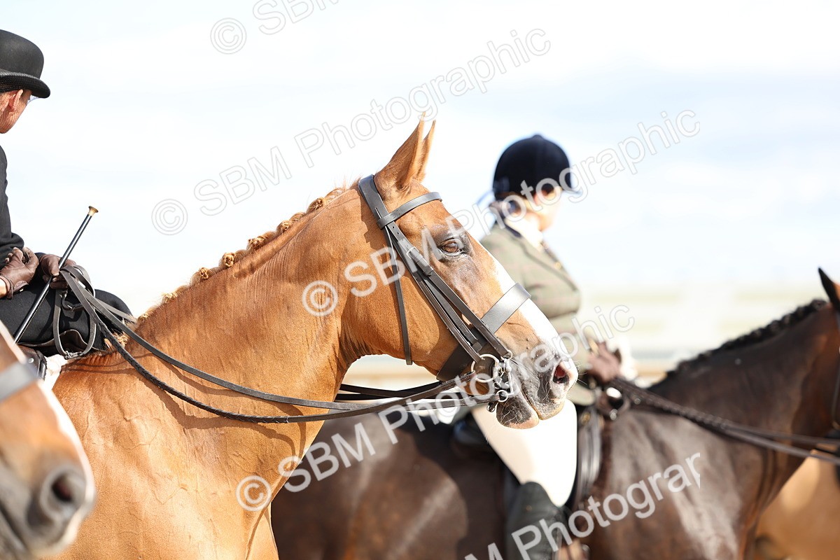 SBM_17208 - Class 315 - Best Horse - Rider Combination