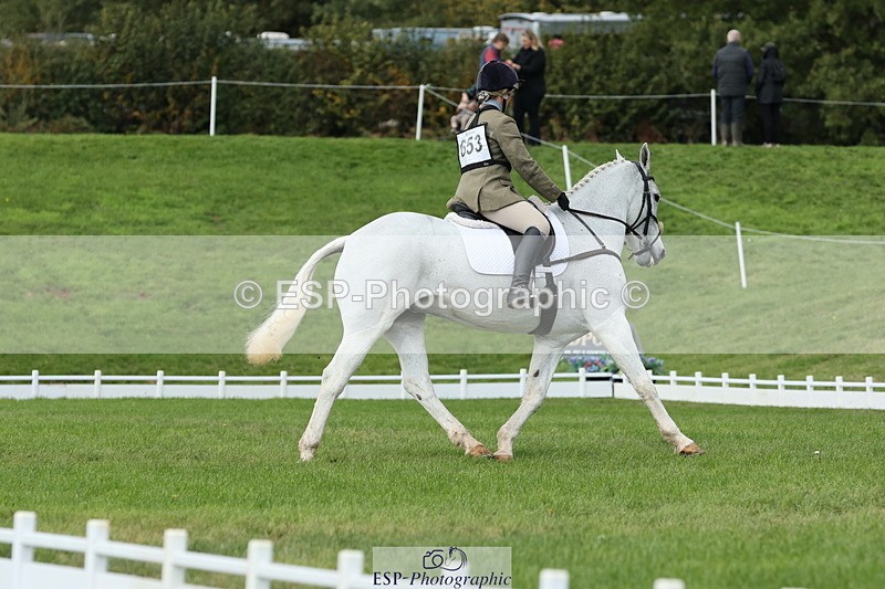 251024A-134124-12628 - H-653-Sharon.Routley