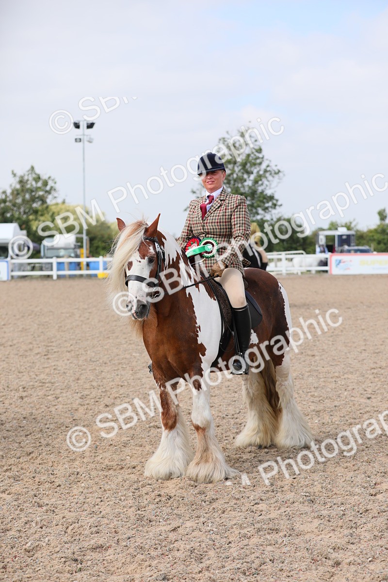 SBM_12862 - Class 307 Ridden Coloured Pony