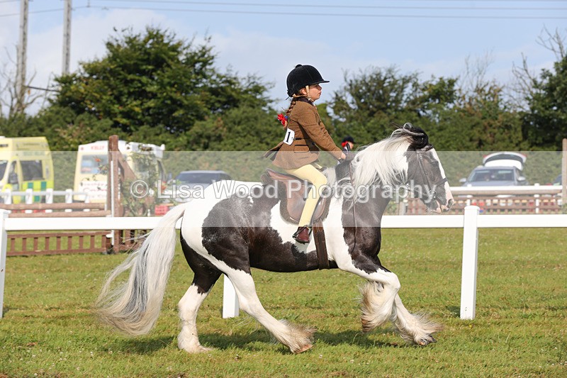 1X9A3321 - Class 28: Ridden Native/Trad Coloured Pony