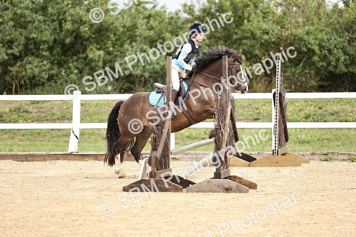 SBM_002898 - 50cm