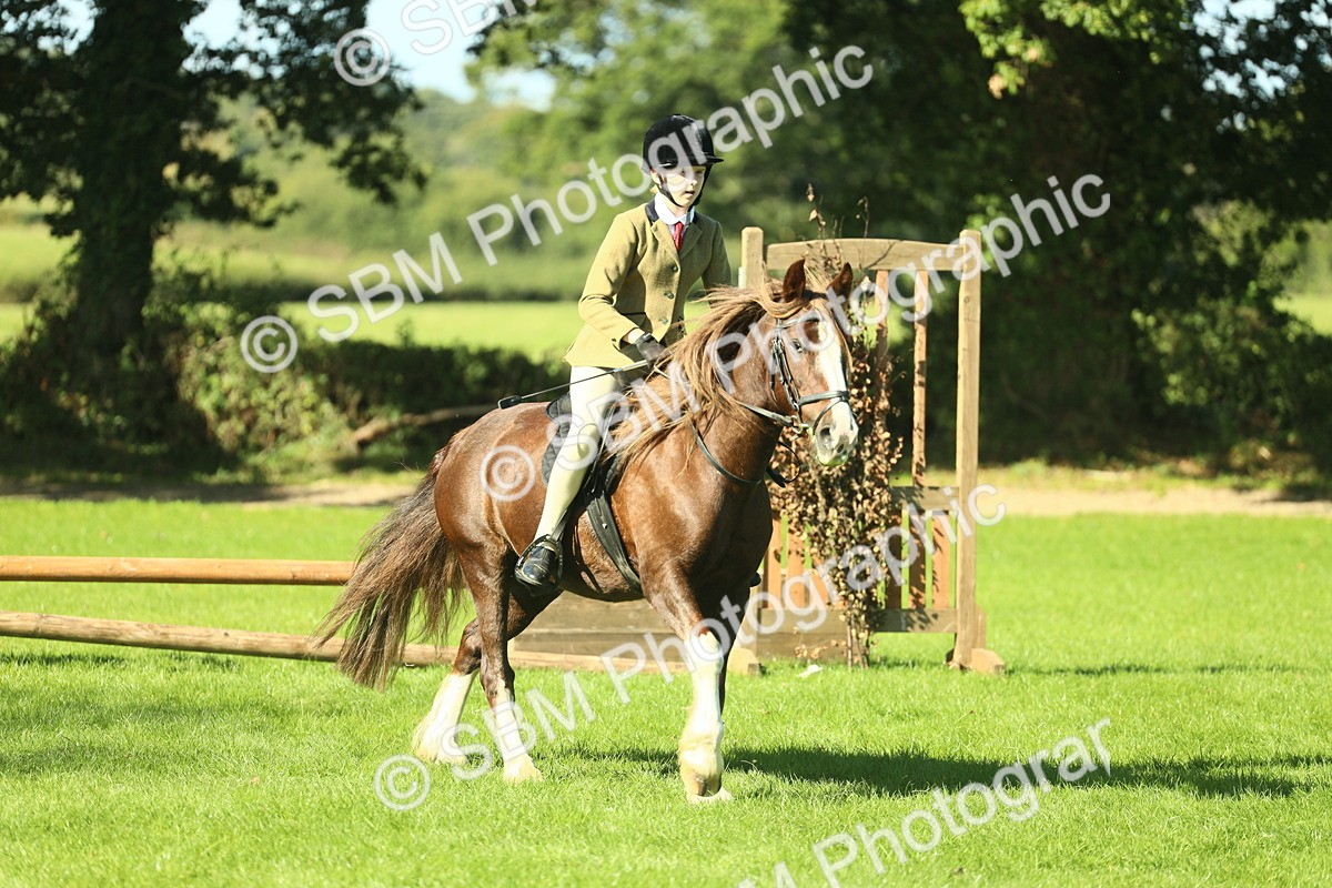 SBM_37552 - S29 - Novice & Newcomers Working Hunter Pony