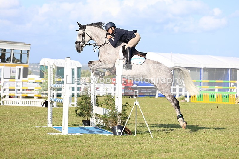 3E7A4396 - Class C: Showjumping Senior Foxhunter
