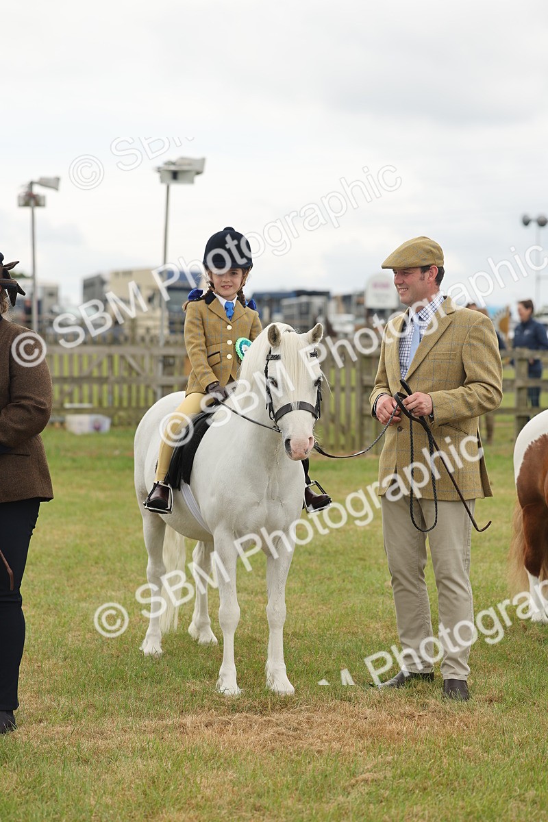SBM_06824 - Class 74-75 - M&M Lead Rein and First Ridden Pony