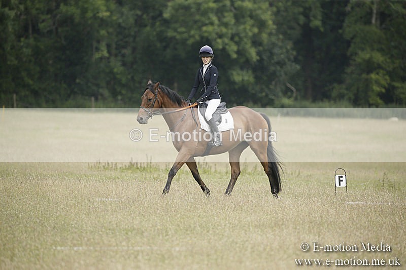 B230619-0400 - Bourne Valley Riding Club Summer Show 23/06/19