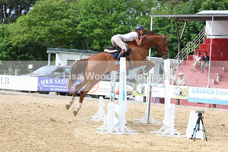 3E7A7766 - Class 8: Senior Foxhunter/1.20 open