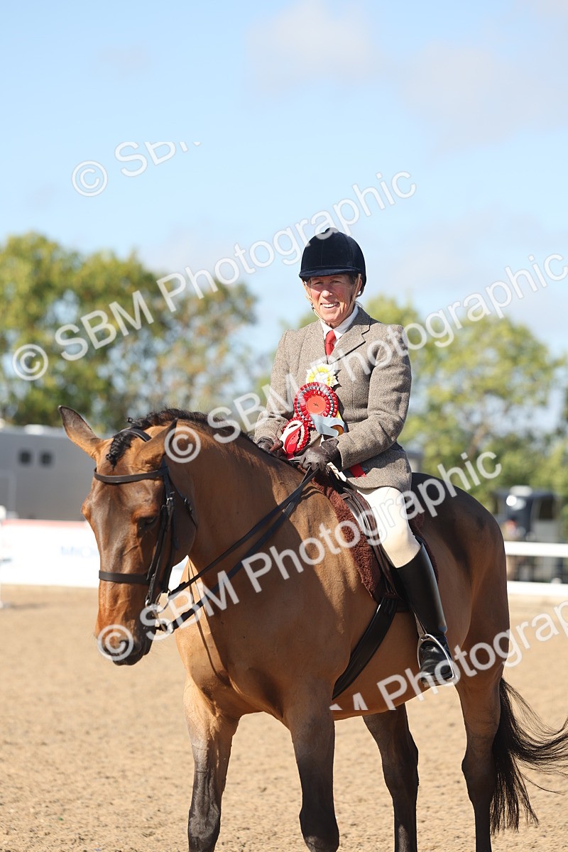 SBM_22342 - Class 803 - Ridden Combination 65+