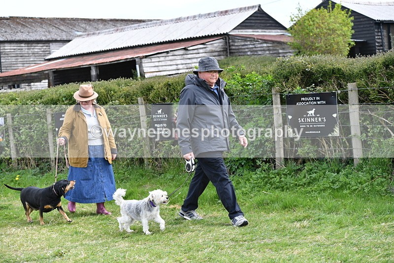 WJ5_9917 - Class 5 Best Veteran / 7 years & over