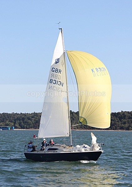 090530 K8313N IMG_6757 - Sailboats - monohull
