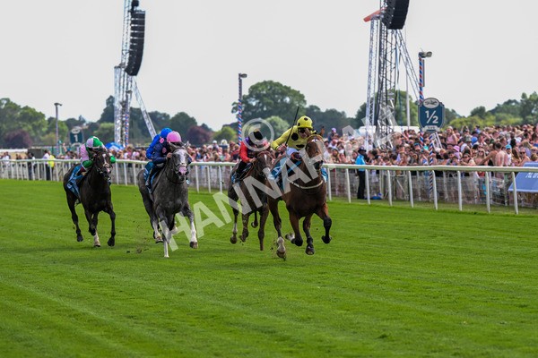 280625-Race 4-Hankelow-0308 - Race 4 3.40pm Al Basti Equiworld Dubai Novice Stakes