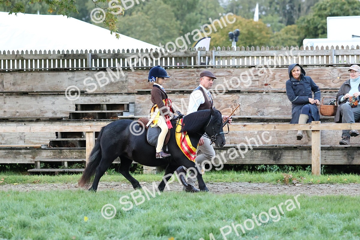 SBM_53451 - Super Supreme Championship (Sat)
