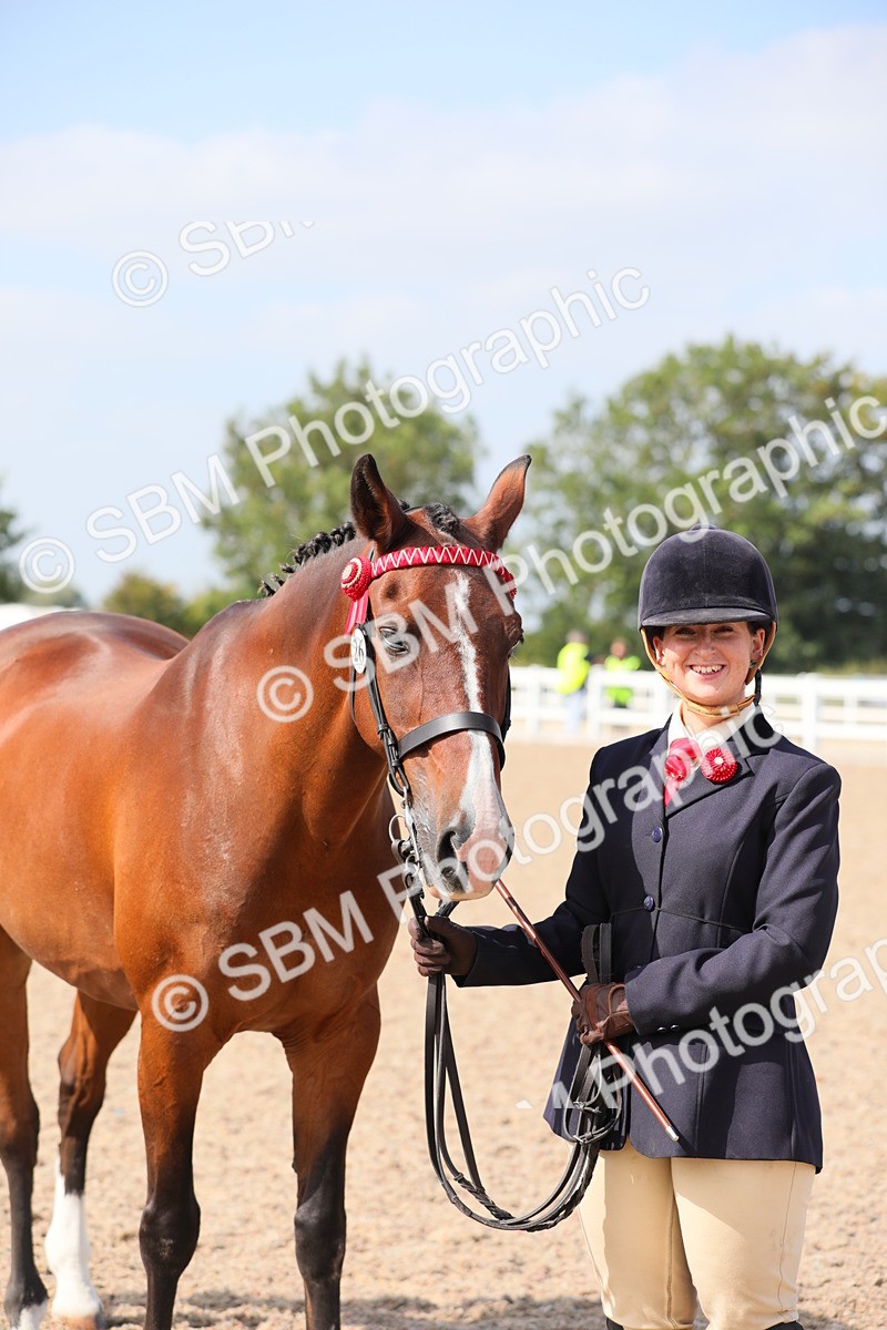 SBM_15733 - Class 312 IH Competition Horse/Pony