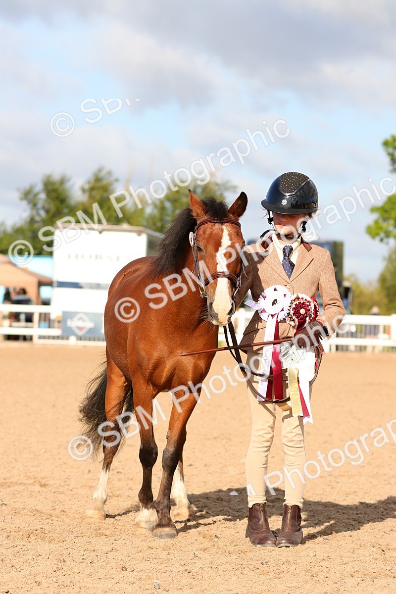 SBM_08687 - Class 203 - Young Handler 10 Years and Under