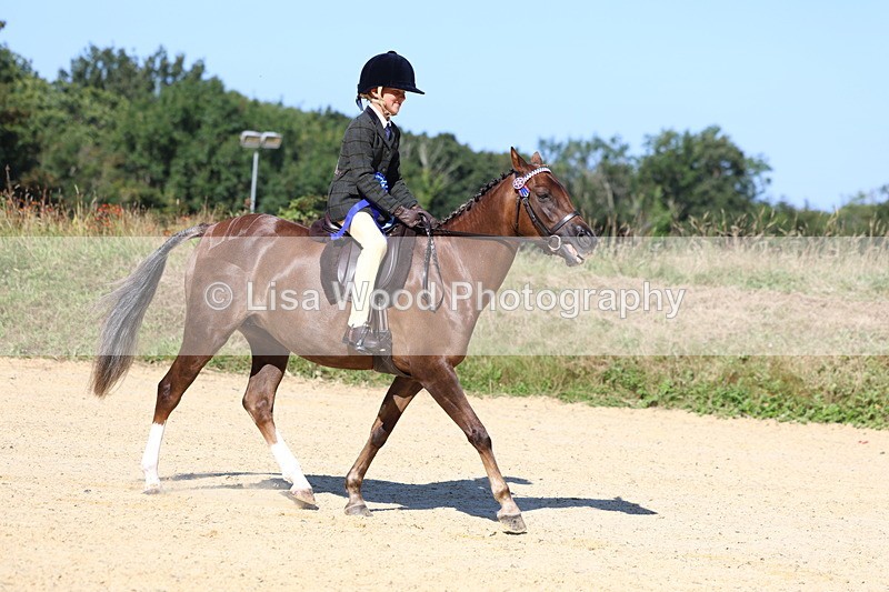 3E7A7978 - Class 14: Tack and Turnout