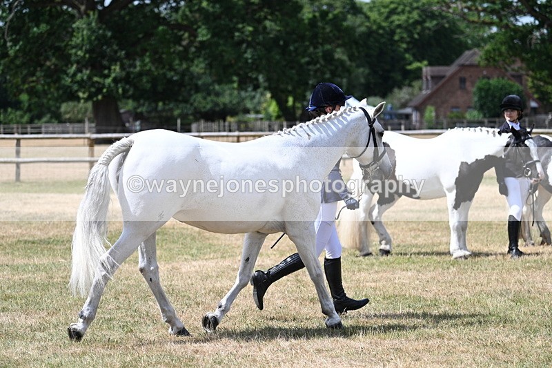 WJ7_1609 - Class 4 Prettiest Mare up to 14.2hh in hand