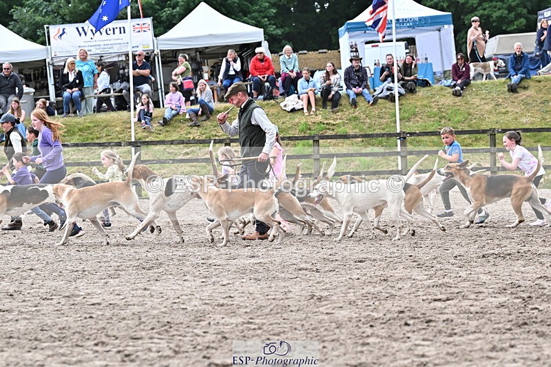 250524A-152921-12802 - East Devon Hounds