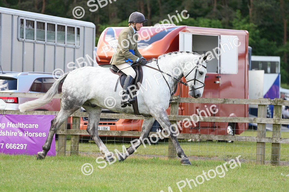 SBM_14914 - Class 100-102 - RIHS Working Hunter